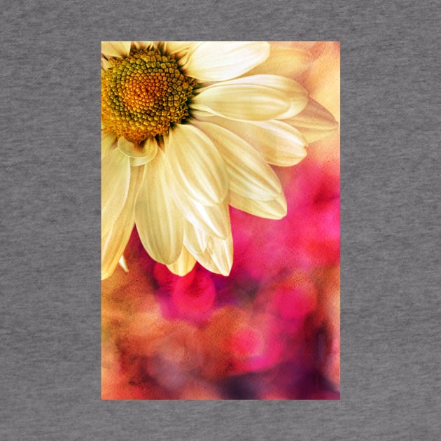 Daisy - Golden on Pink by micklyn